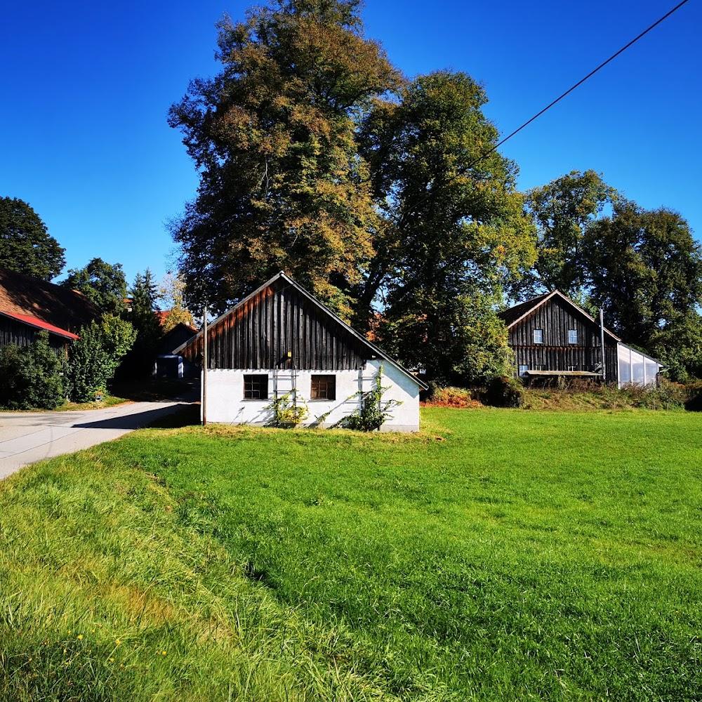 Two white and wood houses with green grass.